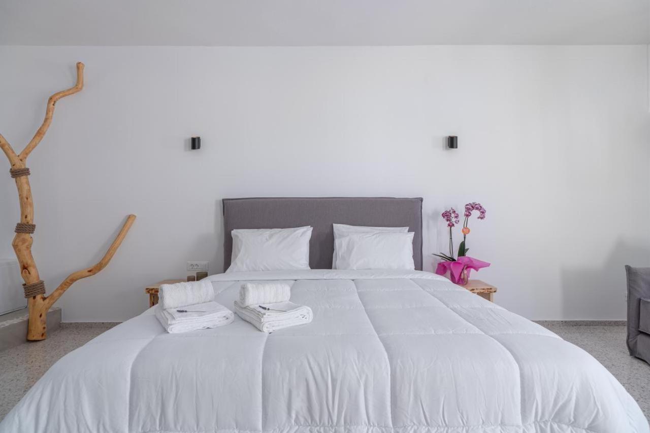 Apartament Sonia Mykonos Town Zewnętrze zdjęcie